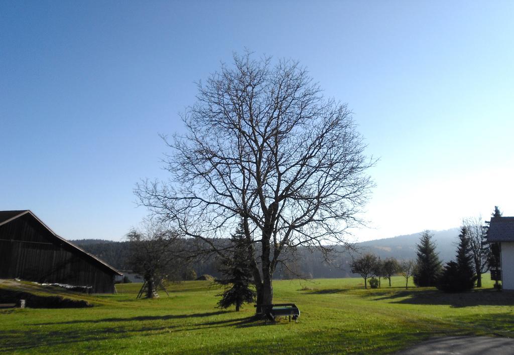 Gasthof Gasthof-pension-kraus