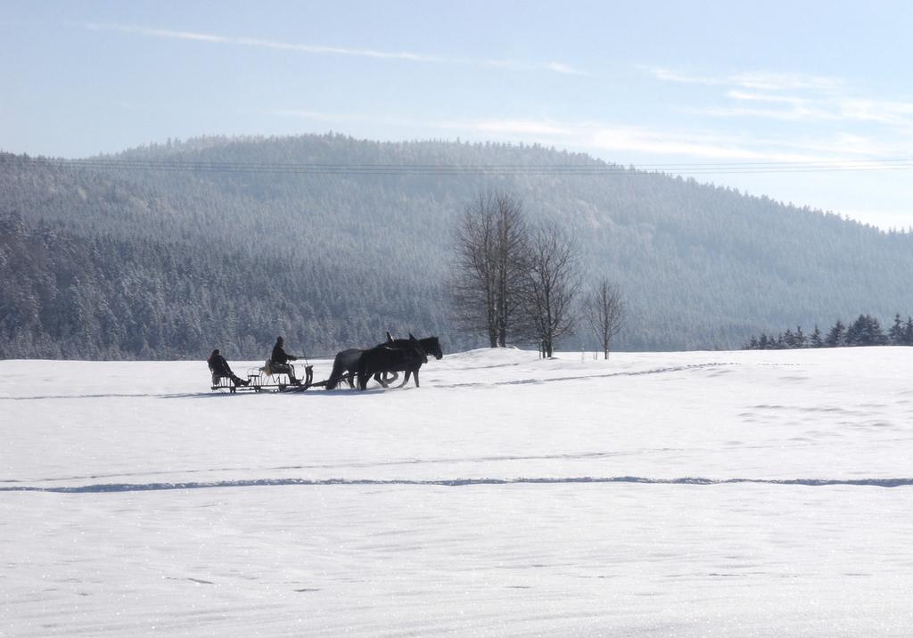 Gasthof-pension-kraus